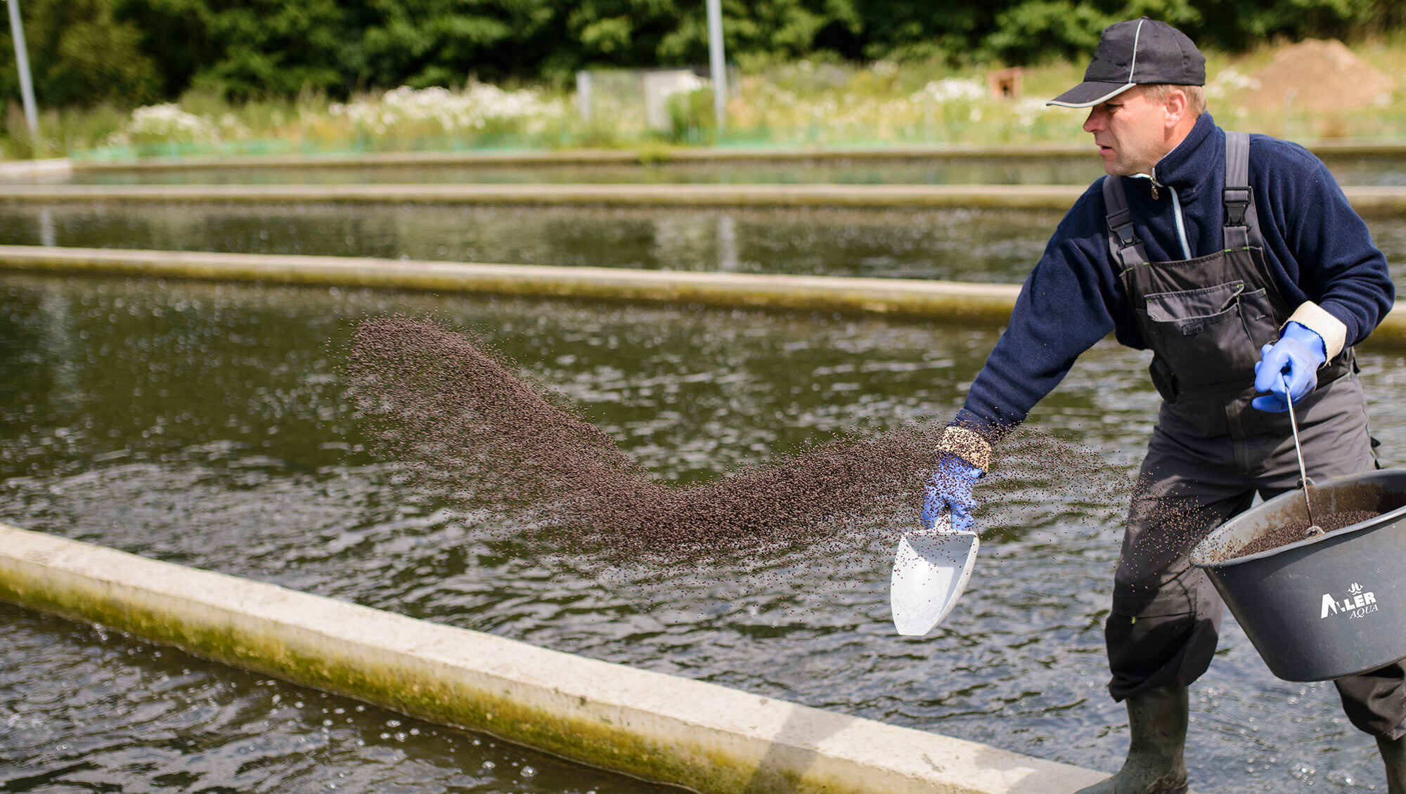 feed_in_use_photo-credit