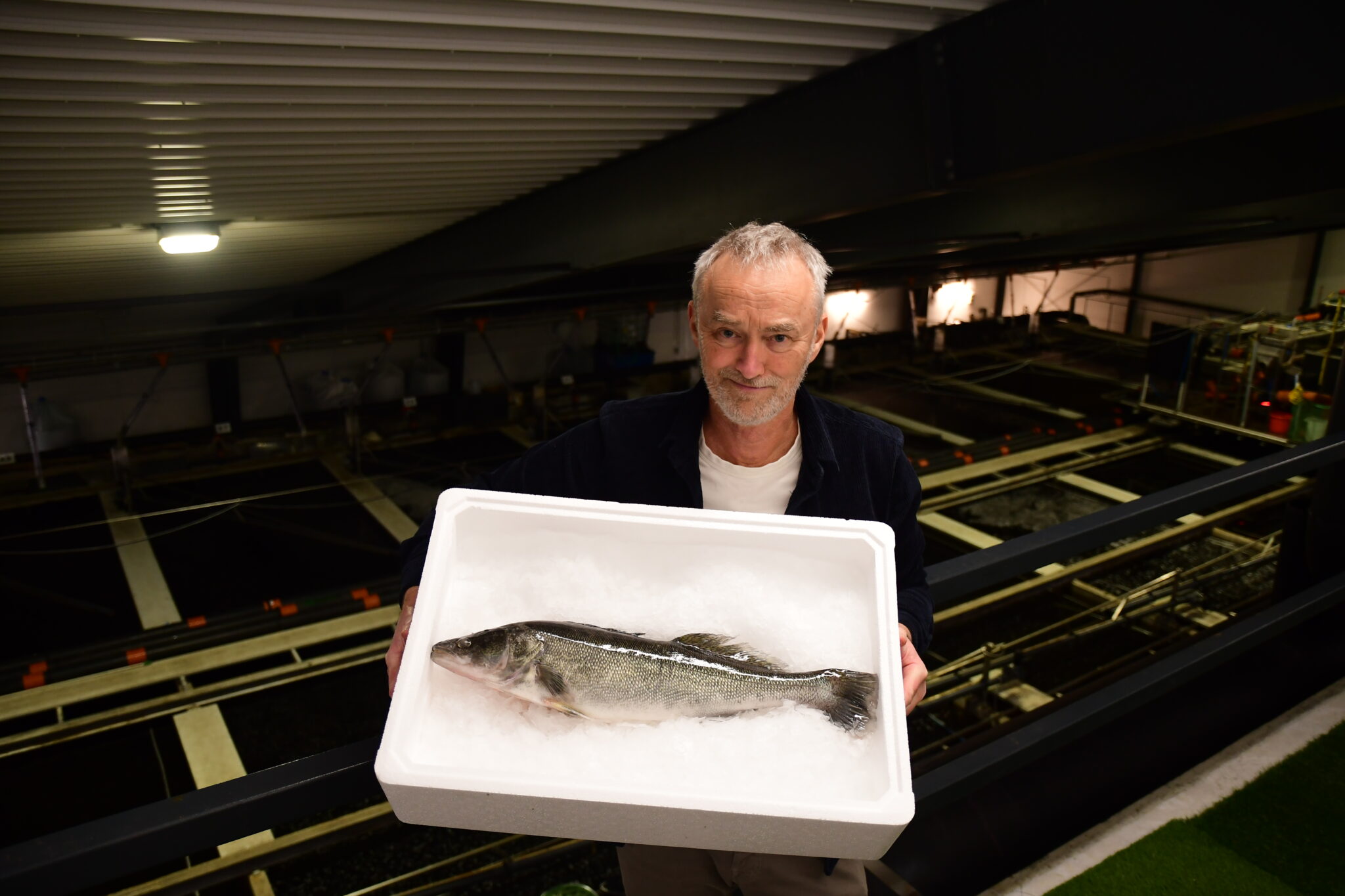 henning-med-sandart-2048x1365