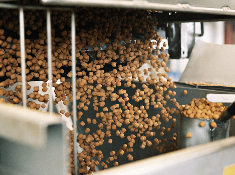 image-feed-production_web