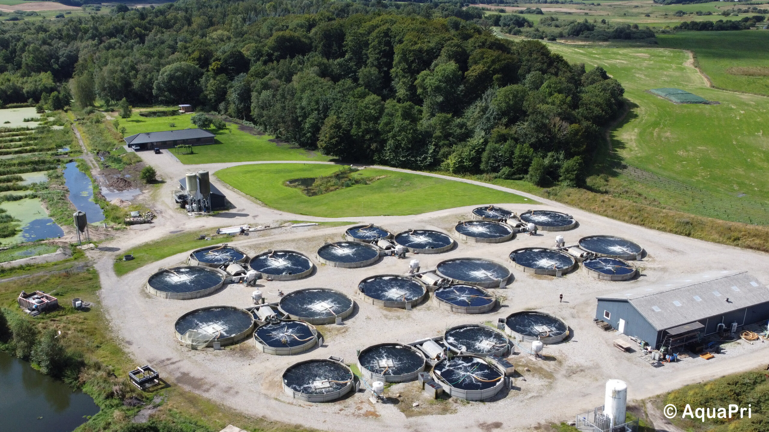 dcim100mediadji_0039-jpg-3