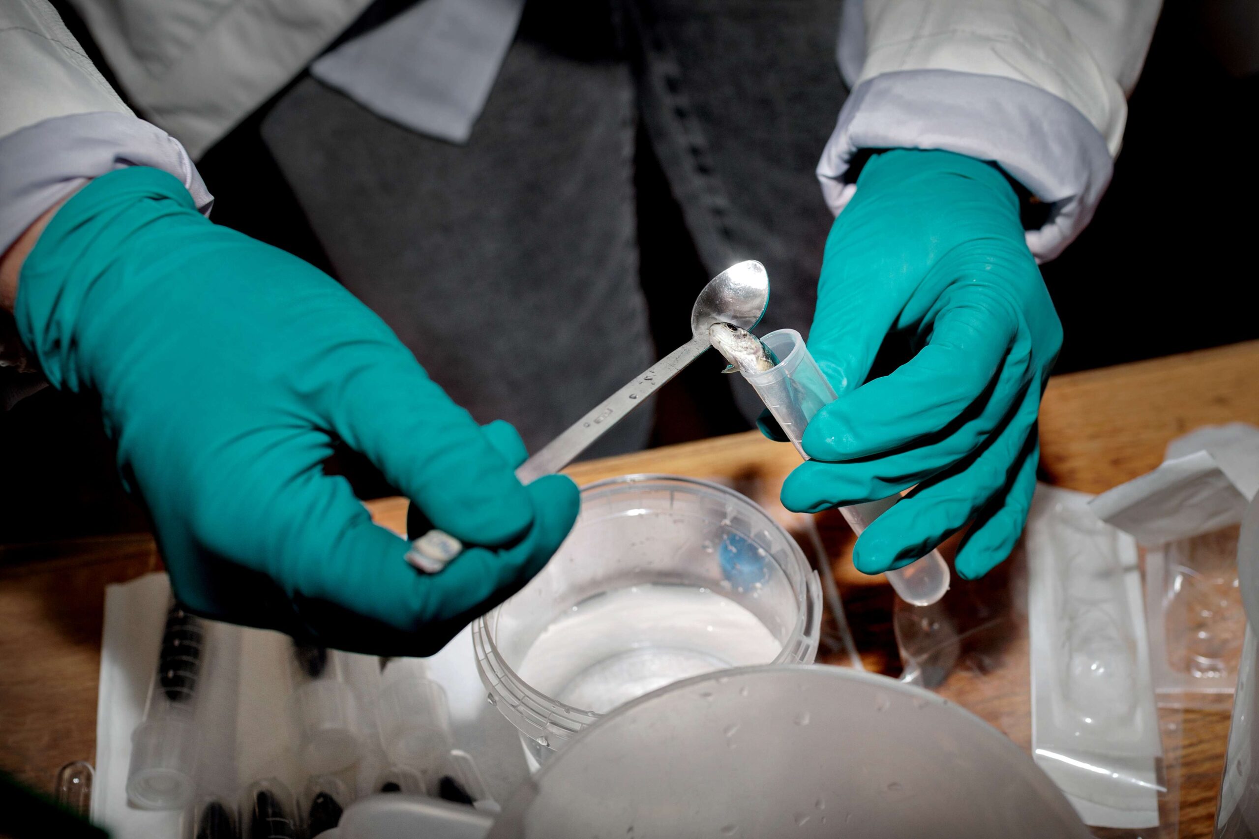 mathias_middelboe_ku_11_mindre