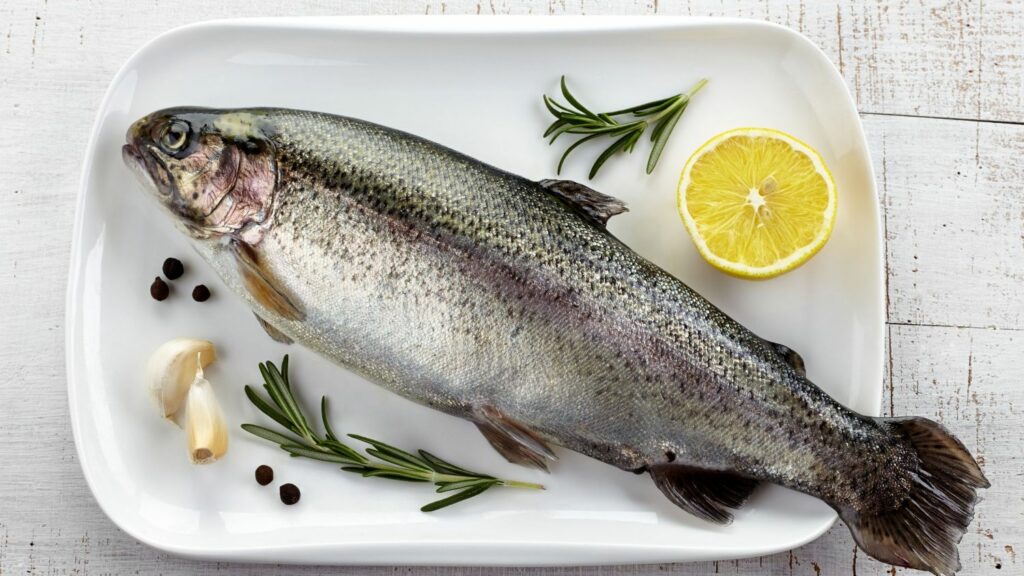 regnbueoerred-sundhed-1024x576-1